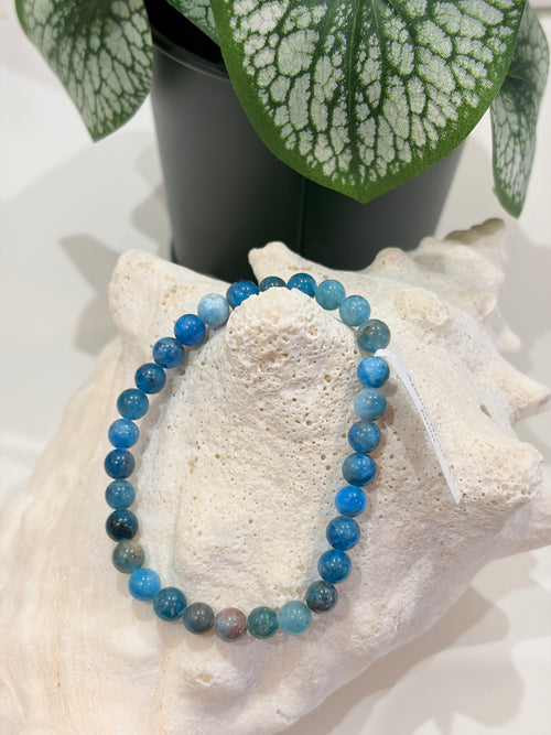 Bracelet uni apatite - taille unique - 6mm
